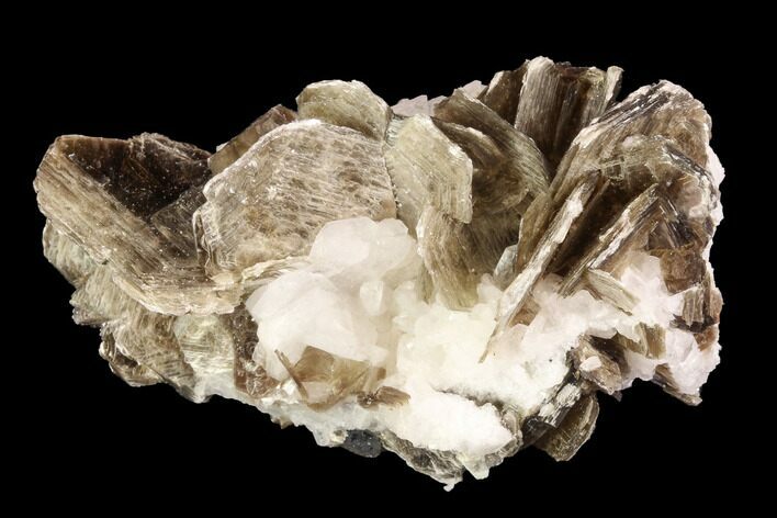 Muscovite & White Albite Crystal Association - Brazil #95569